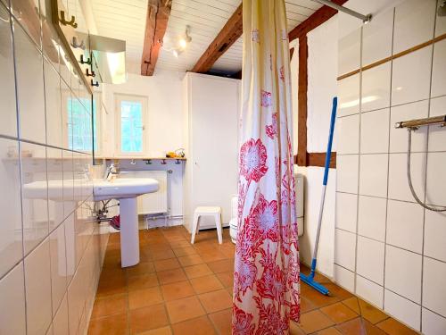 a bathroom with a sink and a shower curtain at Reetdachkate in Neukirchen