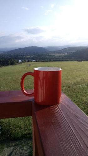 a red coffee cup sitting on a wooden table at Rezydencja Ostoja in Stronie Śląskie