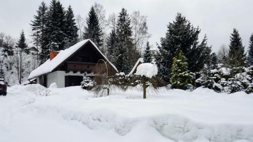a house covered in snow in front of trees at WISŁA-DOM PRZY RZECE in Wisła