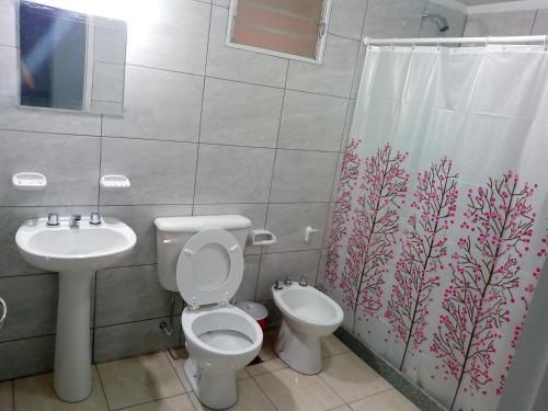 een badkamer met een toilet, een wastafel en een douchegordijn bij Departamento Colón 2 in San Rafael