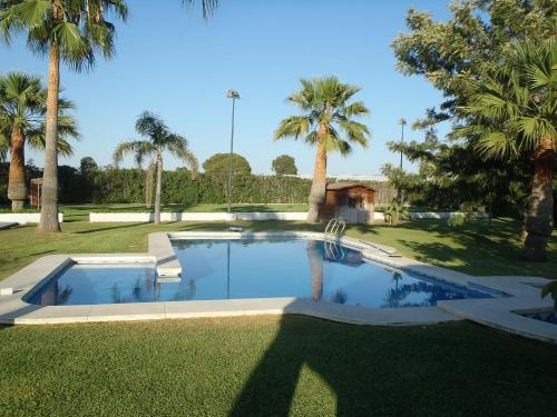 a swimming pool in a yard with palm trees at ABULAGAR in Rota