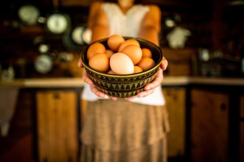 Eten bij of ergens in de buurt van de luxe tent

