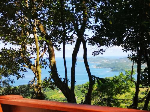 a view of a lake through the trees at Bungalow Maelie in La Trinité