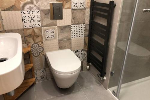 La salle de bains est pourvue de toilettes, d'un lavabo et d'une douche. dans l'établissement Piękny apartament w Pieninach, à Krościenko nad Dunajcem