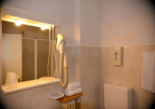 a bathroom with a shower and a mirror and a sink at Hotel Regina Delle Dolomiti in Panchia