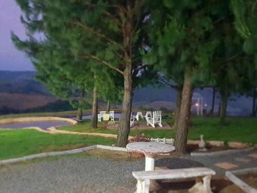 a picnic table and two trees in a park at Dargle Forest Lodge in Dargle