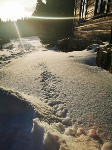 a footprints in the snow in front of a house at Chata pod Studničnou in Pec pod Sněžkou