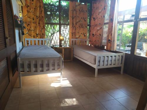 a bedroom with two beds and a window at Lotus turtle garden Eilat in Eilat