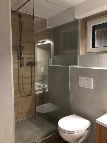 a bathroom with a toilet and a glass shower at Apartament BeSkidSki in Szczyrk