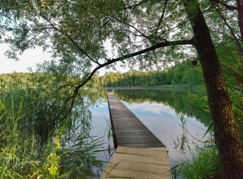 a wooden boardwalk on a lake with trees at Landhaus Griessee in Obing