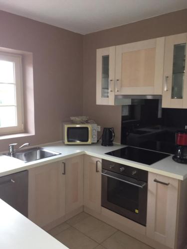 une cuisine avec un évier et un micro-ondes dans l'établissement La Maisonnette Dintevilloise, à Dinteville