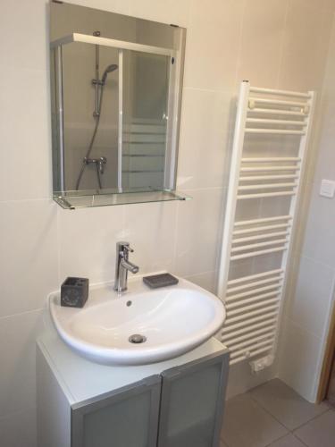 ein Badezimmer mit einem weißen Waschbecken und einem Spiegel in der Unterkunft La Maisonnette Dintevilloise in Dinteville