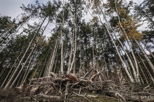 Galeriebild der Unterkunft Veul oe thuus Hoeve Kroep an in Vorden