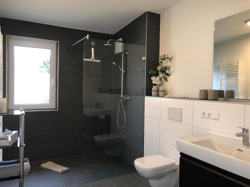 uma casa de banho com um chuveiro, um WC e um lavatório. em A&N Prestige Apartments "Attika" close to BASEL and Rhine river em Grenzach-Wyhlen