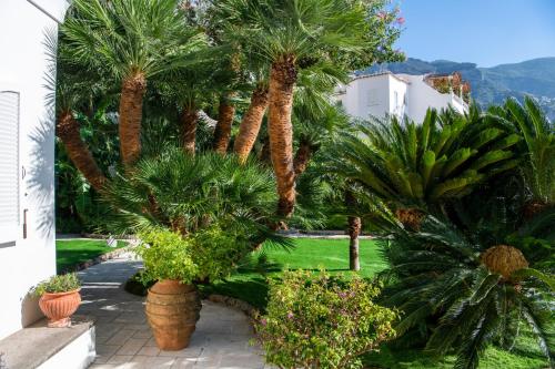 a group of palm trees in a yard with plants at La Casa di Peppe in Positano