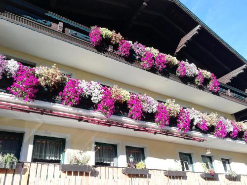 a building with a bunch of flowers on a balcony at Pichlgut in Radstadt