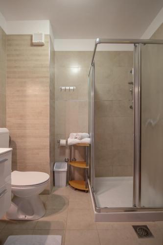 a bathroom with a shower and a toilet at Apartments Oliva in Premantura