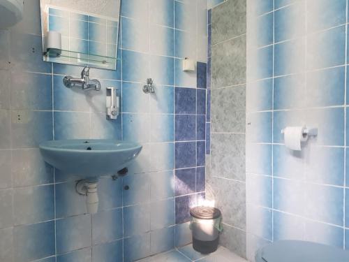 baño de azulejos azules con lavabo y aseo en Apartman DINO en Sarajevo