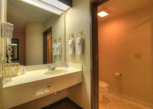 a bathroom with a sink and a toilet and a mirror at Smoky Mountain Inn & Suites in Cherokee
