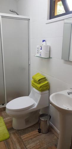 La salle de bains blanche est pourvue de toilettes et d'un lavabo. dans l'établissement Cabaña Chucao, à Conguillio