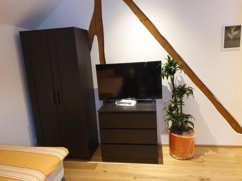 a bedroom with a tv and a dresser with a plant at Gästehaus Windheim (Ettlingen) in Ettlingen