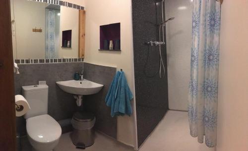 a bathroom with a toilet and a sink and a shower at The Shippon at RoseHip in Launceston