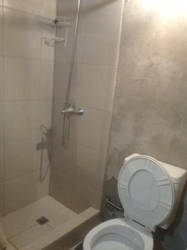 a bathroom with a toilet and a shower at HOSTEL la Casa del Patio BB in Bahía Blanca