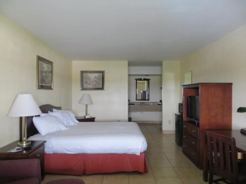 a hotel room with a bed and a television at Flagship Inn in Lake Brownwood