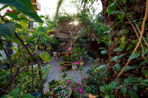a garden with lots of plants and flowers at Gil's Guest Rooms in Neve Zohar