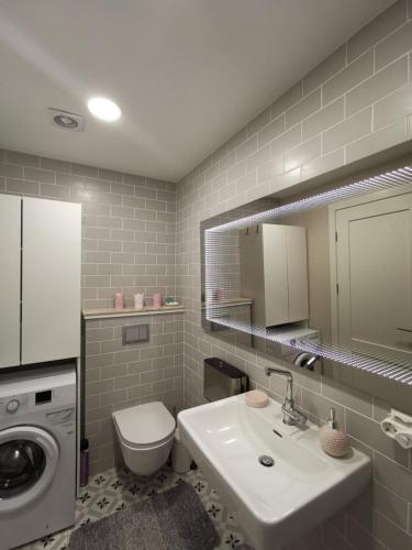a bathroom with a sink and a washing machine at Snieguolės apartamentai in Palanga