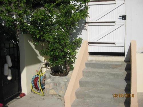 a bike parked next to a door with a tree at karine in Boucau