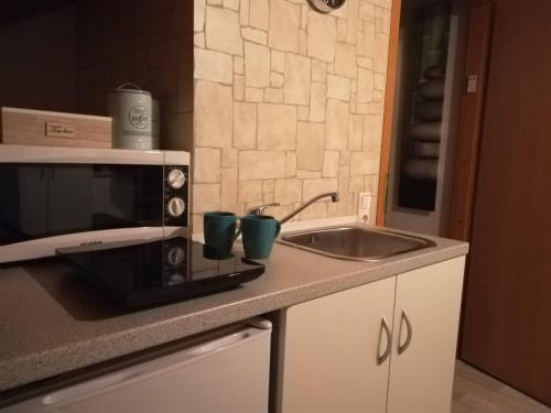 um balcão de cozinha com um lavatório e um micro-ondas em casa Martinez em Rollesbroich