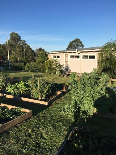 a garden with several plots of lettuces at Hjem Studios in La Pedrera