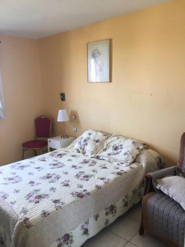 1 dormitorio con 1 cama y una foto en la pared en Les Orchidées en Carcassonne
