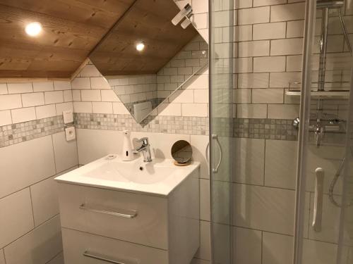 y baño con lavabo y ducha. en AU SOMMET DES NARCISSES, en Albiez-Montrond