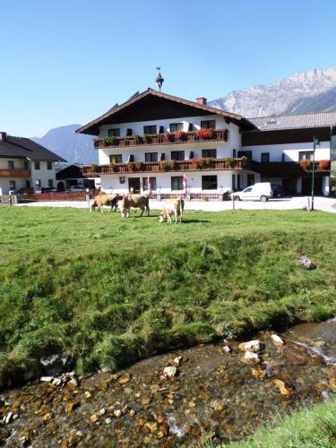 a group of cows grazing in a field in front of a building at Pension Tilly in Niederöblarn