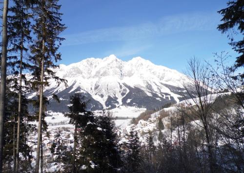 a mountain covered in snow with trees in the foreground at Pension Tilly in Niederöblarn