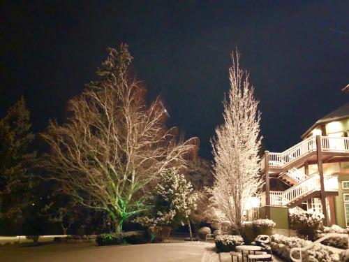 two trees covered in snow in front of a house at Lakeside Lodge and Suites in Chelan