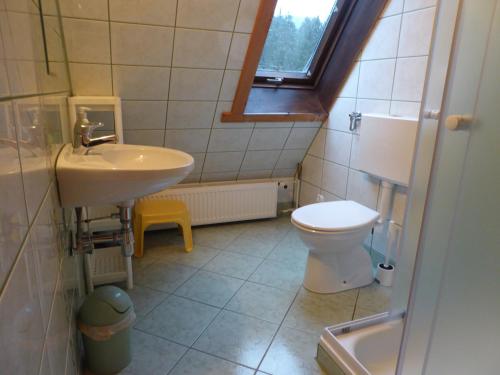 een kleine badkamer met een wastafel en een toilet bij Noclegi pod Jaworzyną II in Koninki