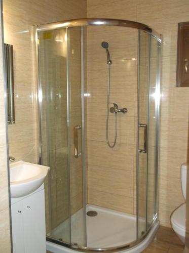 uma casa de banho com um chuveiro, um lavatório e um WC. em Domek Smerfna Chatka em Wąglikowice