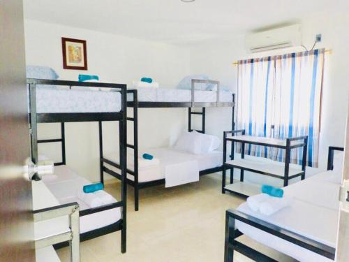 Двухъярусная кровать или двухъярусные кровати в номере host Casa Don Arturo