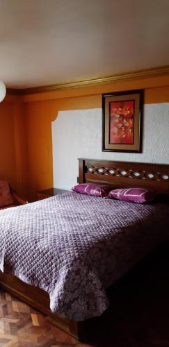 1 dormitorio con 1 cama grande con almohadas moradas en Hostal Río ibare en La Paz