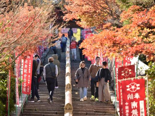 people walking down stairs in a park with trees at Miyajima Morinoyado in Miyajima