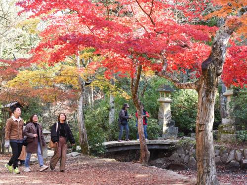 a group of people walking across a bridge in a park at Miyajima Morinoyado in Miyajima