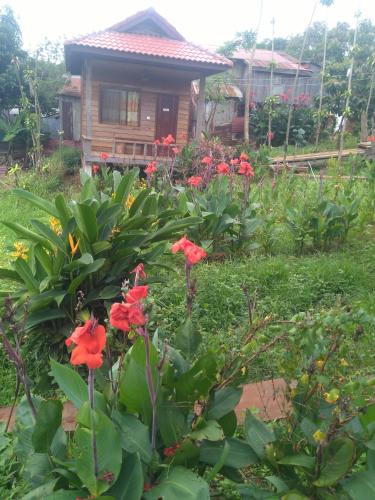 Taman di luar Happy bungalow & trekking