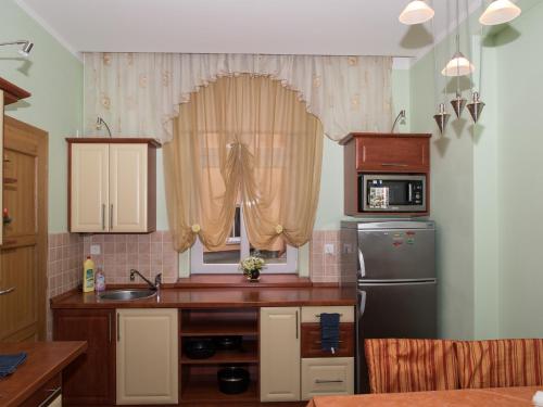 a kitchen with a sink and a refrigerator and a window at Apartman "Alika" in Karlovy Vary