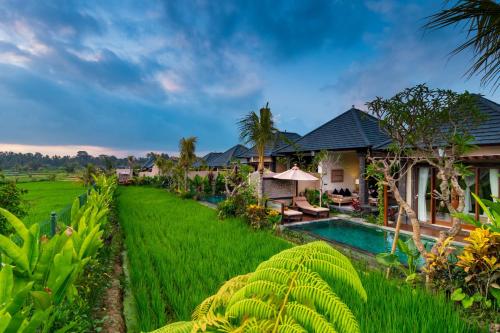 a villa in a rice field with a swimming pool at Bliss Ubud Spa Resort in Ubud