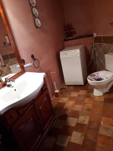 une salle de bain avec un lavabo et des toilettes dans l'établissement Gîte de caractère au pied du Mont Ventoux avec piscine couverte, à Sault