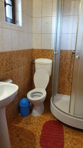 a bathroom with a toilet and a shower and a sink at Pensiunea La Cazemata Bucov in Satu Bucovei