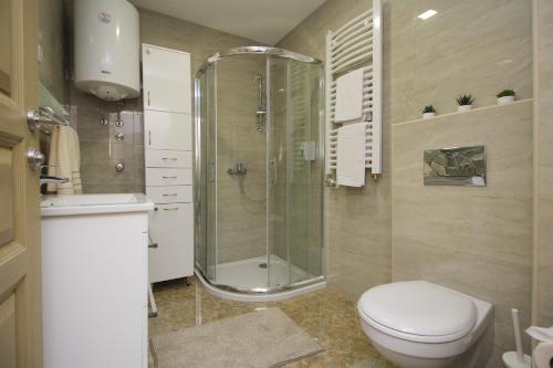 a bathroom with a shower and a toilet and a sink at Apartman Vip Aleksa Zlatibor Centar in Zlatibor